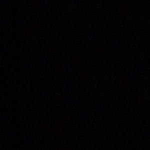 Meet your Posher, Frances